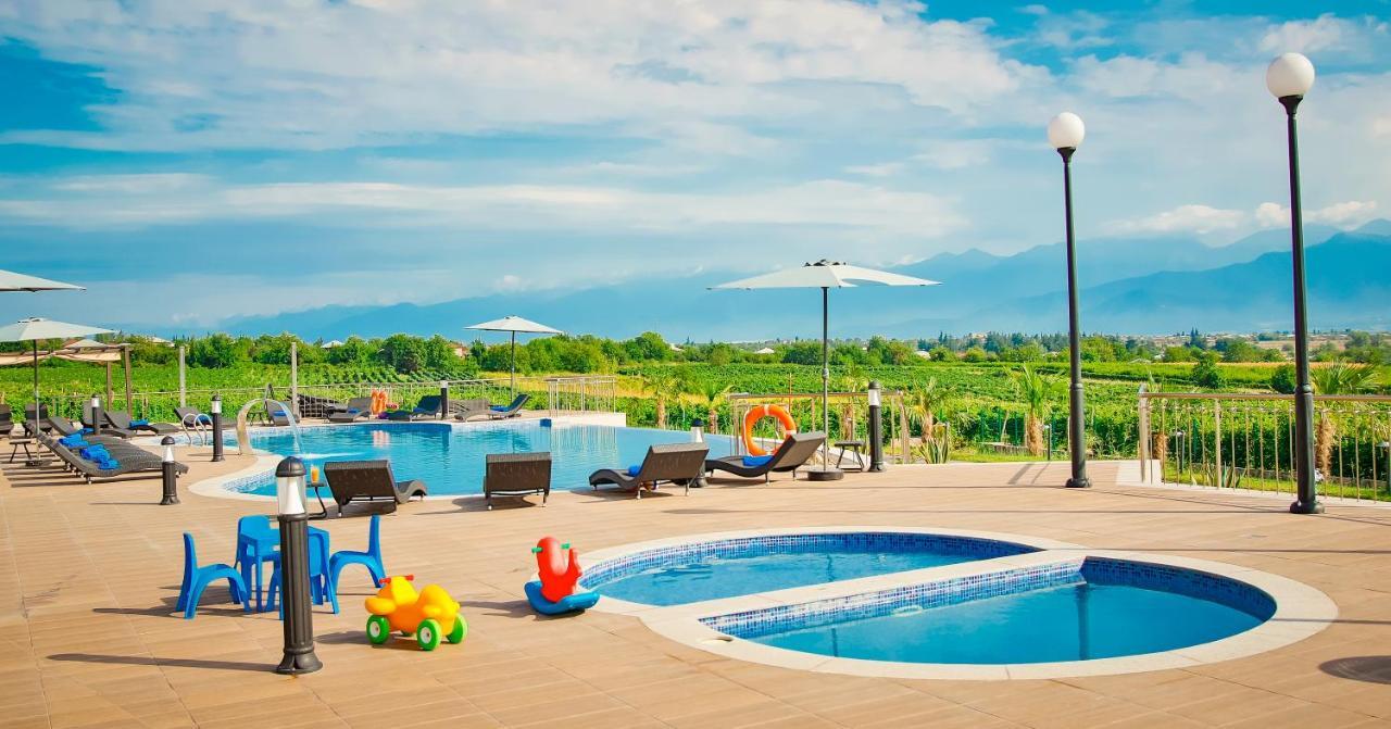 Panorama Kakheti Resort Gurjaani Exterior photo