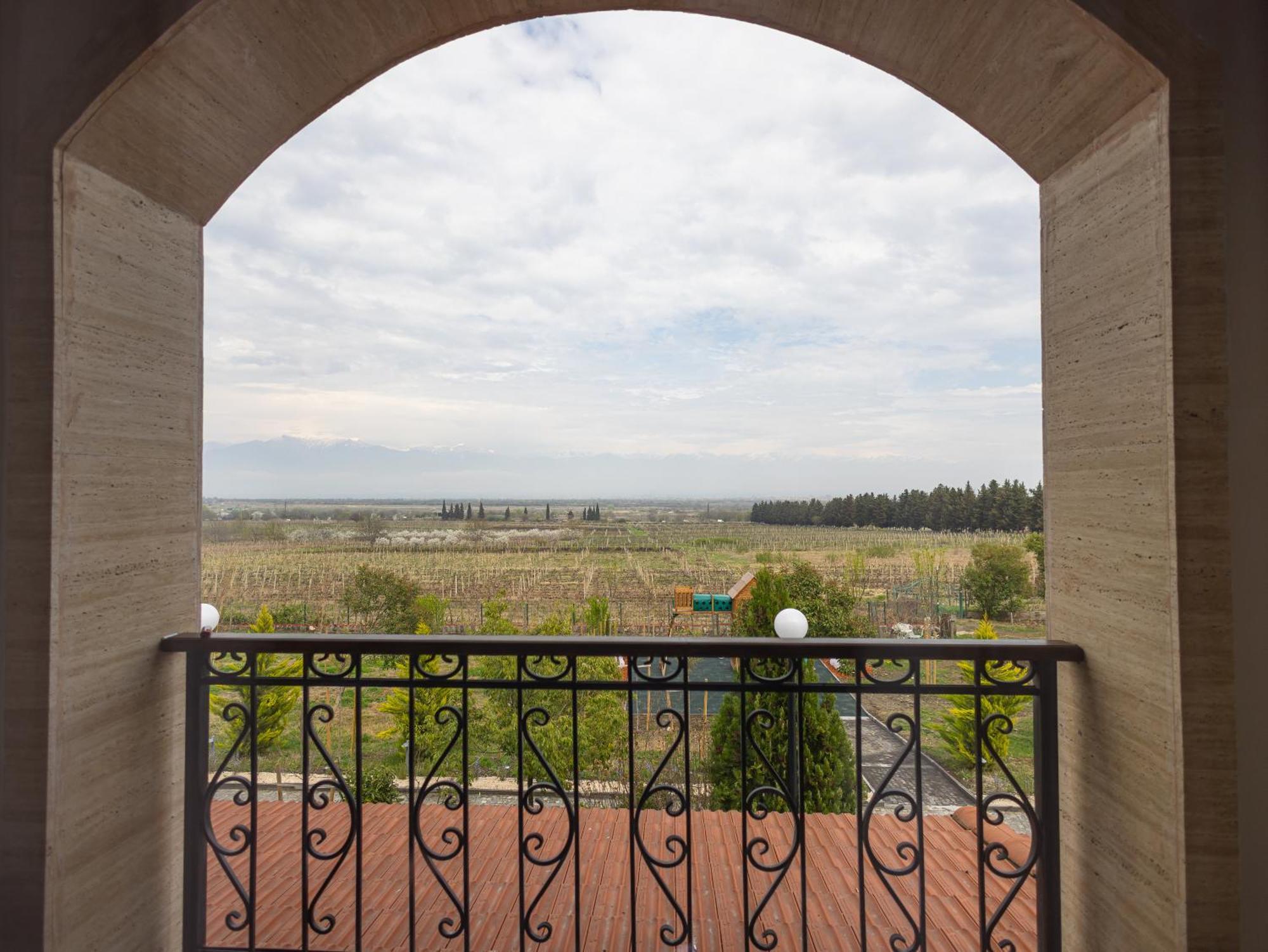 Panorama Kakheti Resort Gurjaani Exterior photo